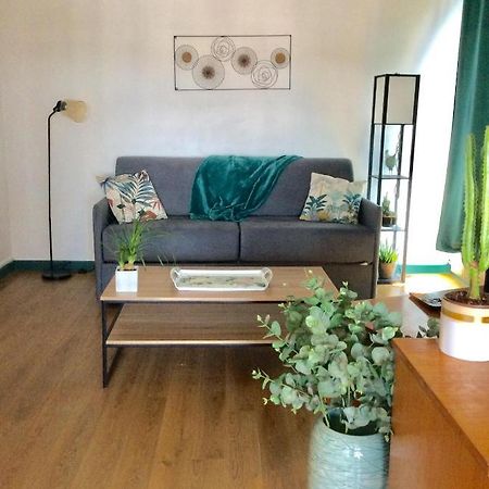 Le Balcon De Dentellieres Apartment Valenciennes Bagian luar foto