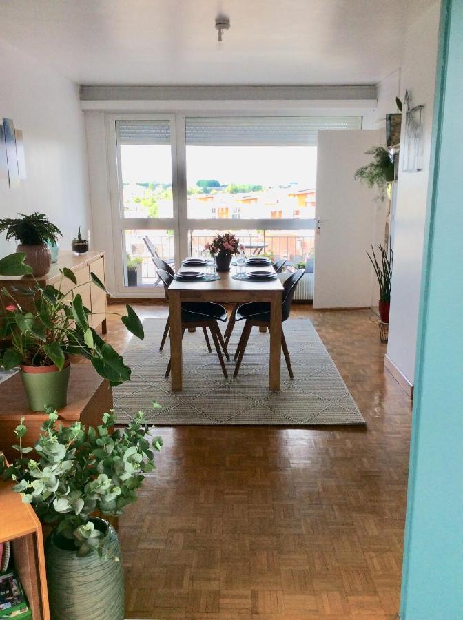 Le Balcon De Dentellieres Apartment Valenciennes Bagian luar foto
